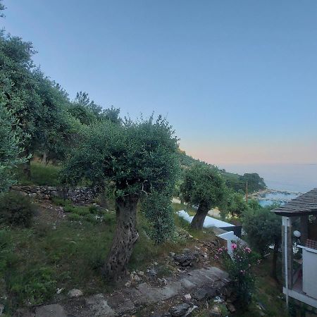 Dionysos Hotel Skala Potamia  Esterno foto