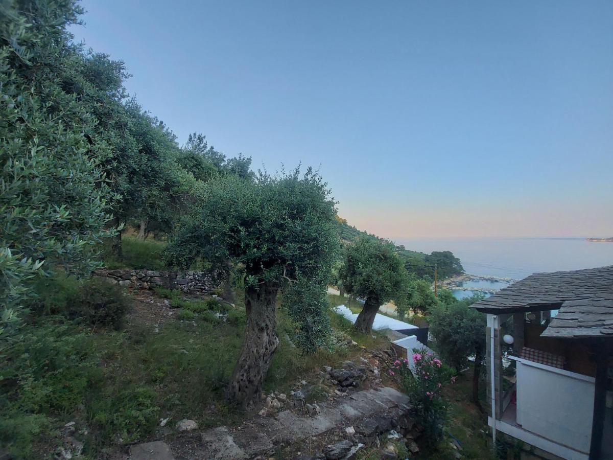 Dionysos Hotel Skala Potamia  Esterno foto